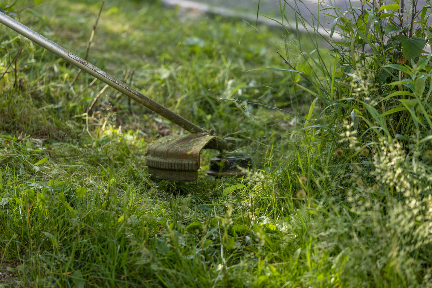 Gartenpflege & Grünanlagenpflege